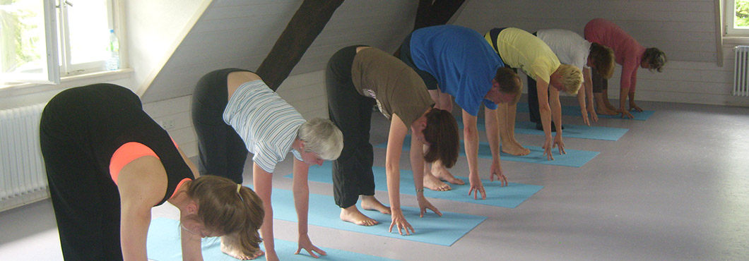 Yoga im Schwarzwald
